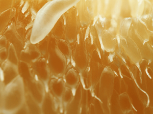 Citri-Fi natural citrus fiber / fibre qualifies as fiber under FDA