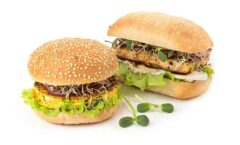 Plant-based Meats, Meat Alternatives & Plant-based Foods: Citri-Fi Replaces Methylcellulose, Improves Juiciness, Firm Texture and Meat-like Texture