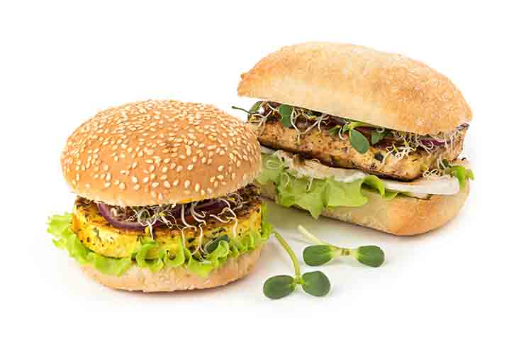 Plant-based Meats, Meat Alternatives & Plant-based Foods: Citri-Fi Replaces Methylcellulose, Improves Juiciness, Firm Texture and Meat-like Texture