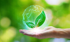 Sustainability, Environmentally Friendly, Upcycled Citri-Fi Citrus Fiber - 394x294
