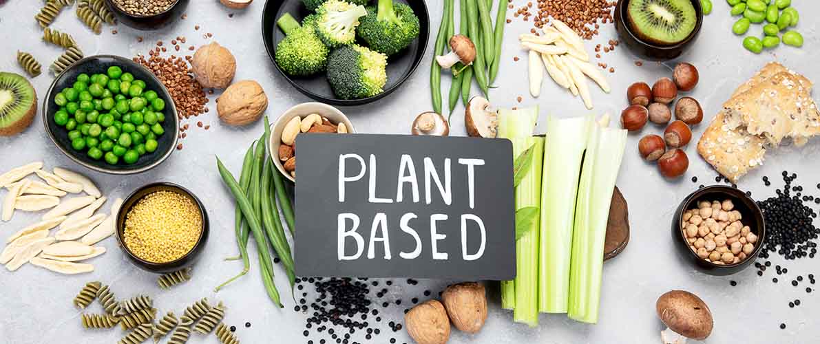 Plant-based Milks - Citri-Fi Citrus Fiber Stability, Clean Label, Natural Creamy Mouthfeel Meat Substitutes: Citri-Fi Citrus Fiber Replaces Methylcellulose, Creates Meat-like Texture and Improves Juiciness