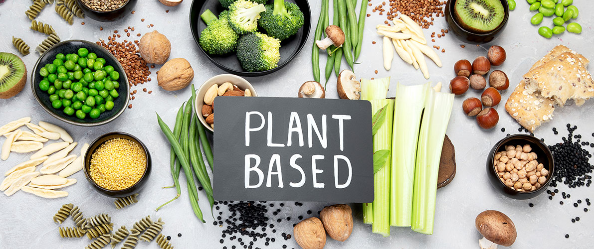 Plant-based Milks - Citri-Fi Citrus Fiber Stability, Clean Label, Natural Creamy Mouthfeel Meat Substitutes: Citri-Fi Citrus Fiber Replaces Methylcellulose, Creates Meat-like Texture and Improves Juiciness