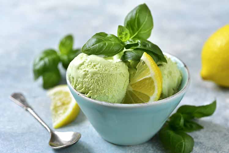 Vegan Ice Cream - Citri-Fi Citrus Fiber Prevents Ice Crystal Formation