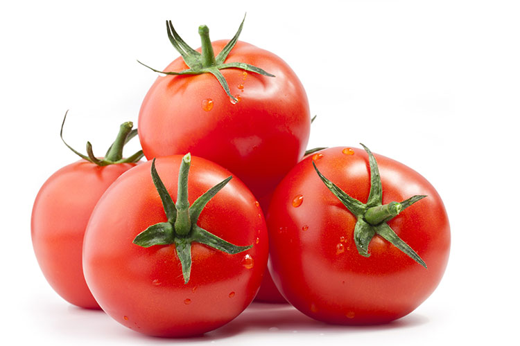 Tomato Extension or Tomato Extender, Natural Tomato-like Texture, Viscosity, Thickness - Citri-Fi Citrus Fiber