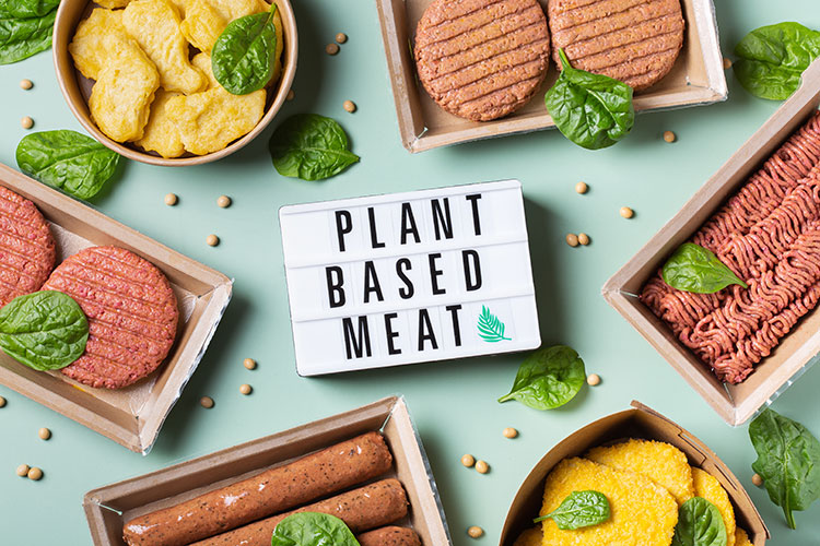 Plant Based Meat Ingredients in Variety of Vegan Meat Types