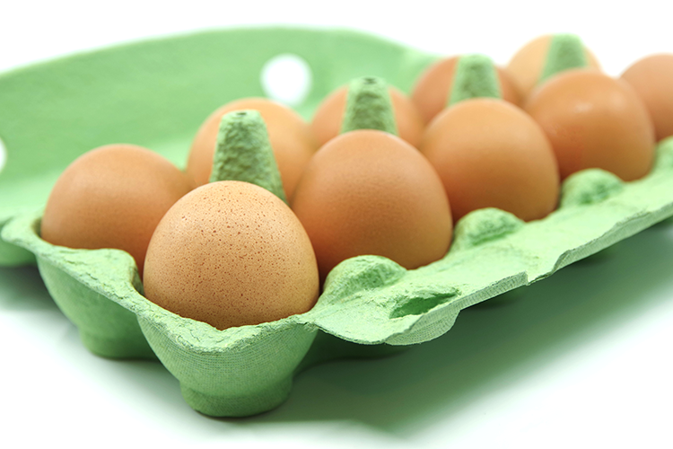 Egg Replacement - Citrus Fiber in Bakery Foods, Dressings and Sauces