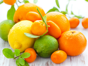 Citri-Fi Citrus Fiber - 394x294