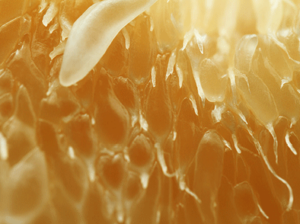 Citri-Fi Citrus Fiber Sustainability Upcycled Eco-friendly Nature-derived Environmental Clean Label - 394x294