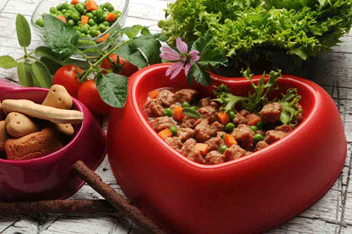 Pet Food & Treats: Kibble, Semi-moist food, bones, biscuits and injection molded - Citri-Fi Citrus Fiber improves texture, binds water, reduces breakage