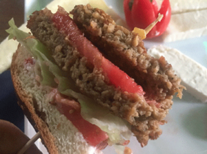 Meat Alternatives - Citri-Fi Citrus Fiber - Replace Methylcellulose, Meat-like Texture, Juiciness - 394x294