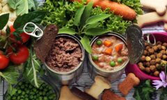 Pet Food & Treats: Citri-Fi Citrus Fiber Provides Emulsification, Syneresis Control, Increased Yields, Reduced Breakage and Mold Release