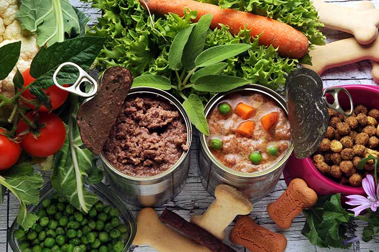 Pet Food & Treats: Citri-Fi Citrus Fiber Provides Emulsification, Syneresis Control, Increased Yields, Reduced Breakage and Mold Release