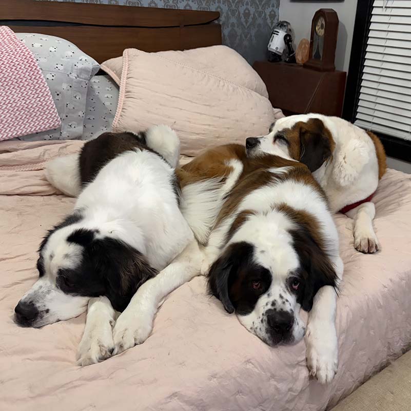 Maggie Poppy & Sam Andersen