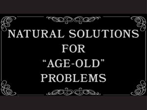 Natural Solutions for Aged-old Problems using Citrus Fiber